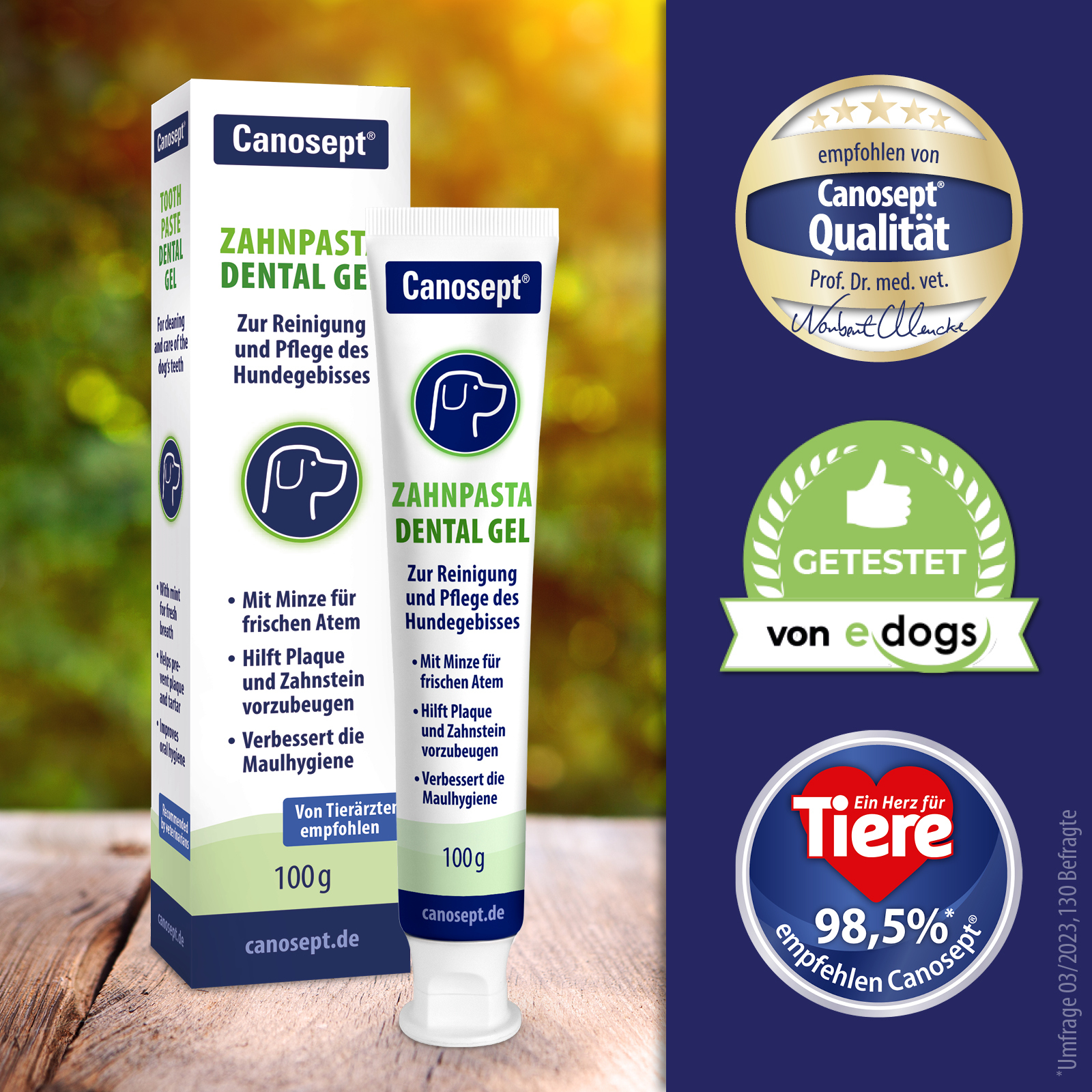 Canosept Zahnpflege Canosept Zahnpflege Dental Gel 100g