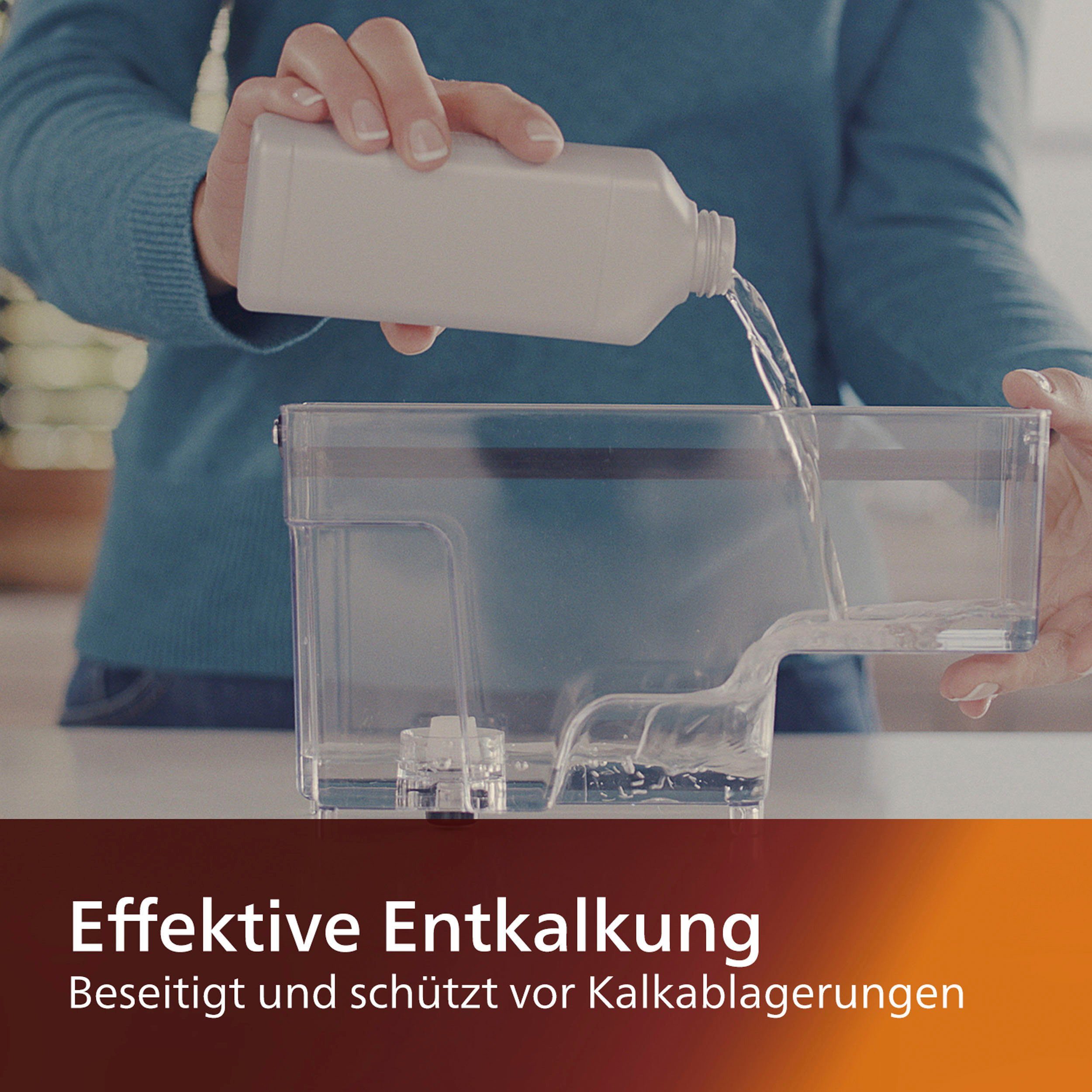 Saeco CA6700/10 Entkalker Flüssigentkalker