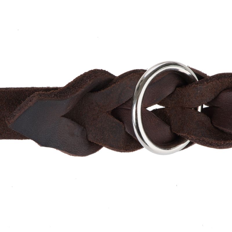 Heim Lederleine mit eingeflochtenem Karabiner - braun zu TOP-Preisen