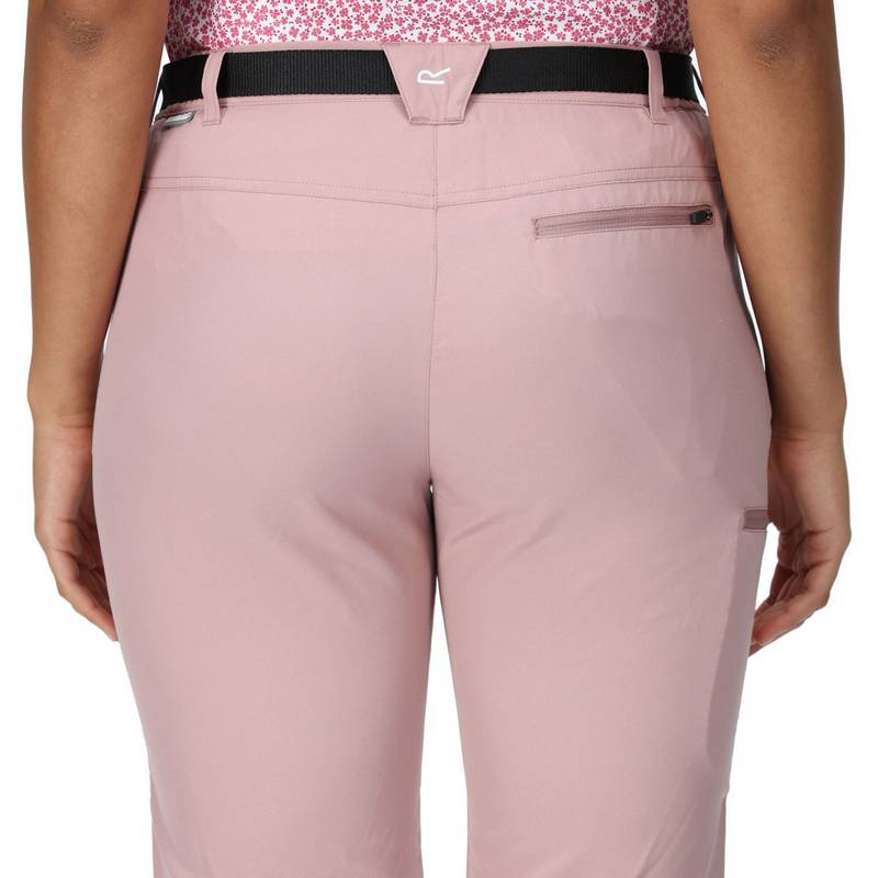 Regatta Xert Capri Wanderhose Damen