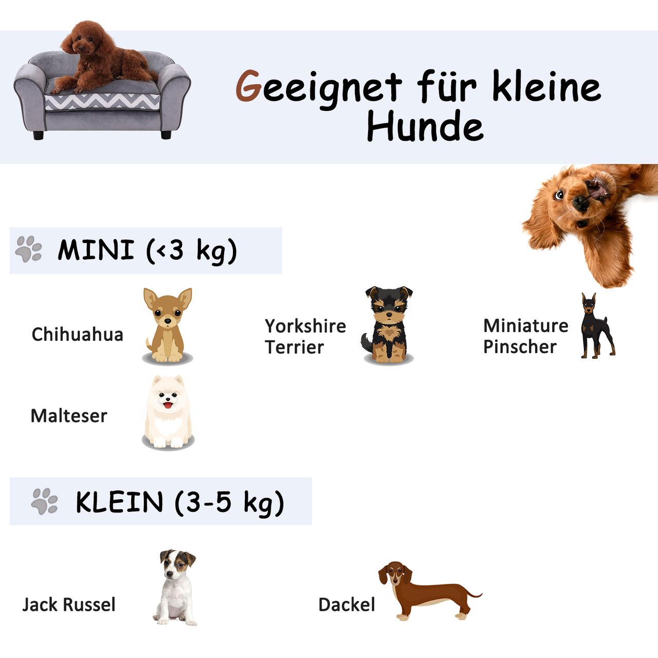 PawHut Hundebett mit erhöhten Füßen, Hundesofa, Waschbar, Samt, Grau, 73,5 x 41 x 33 cm