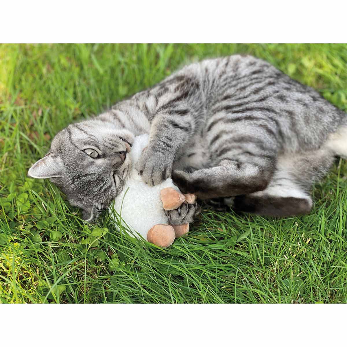 Aumüller Katzenspielkissen Schäfchen Sally kaufen