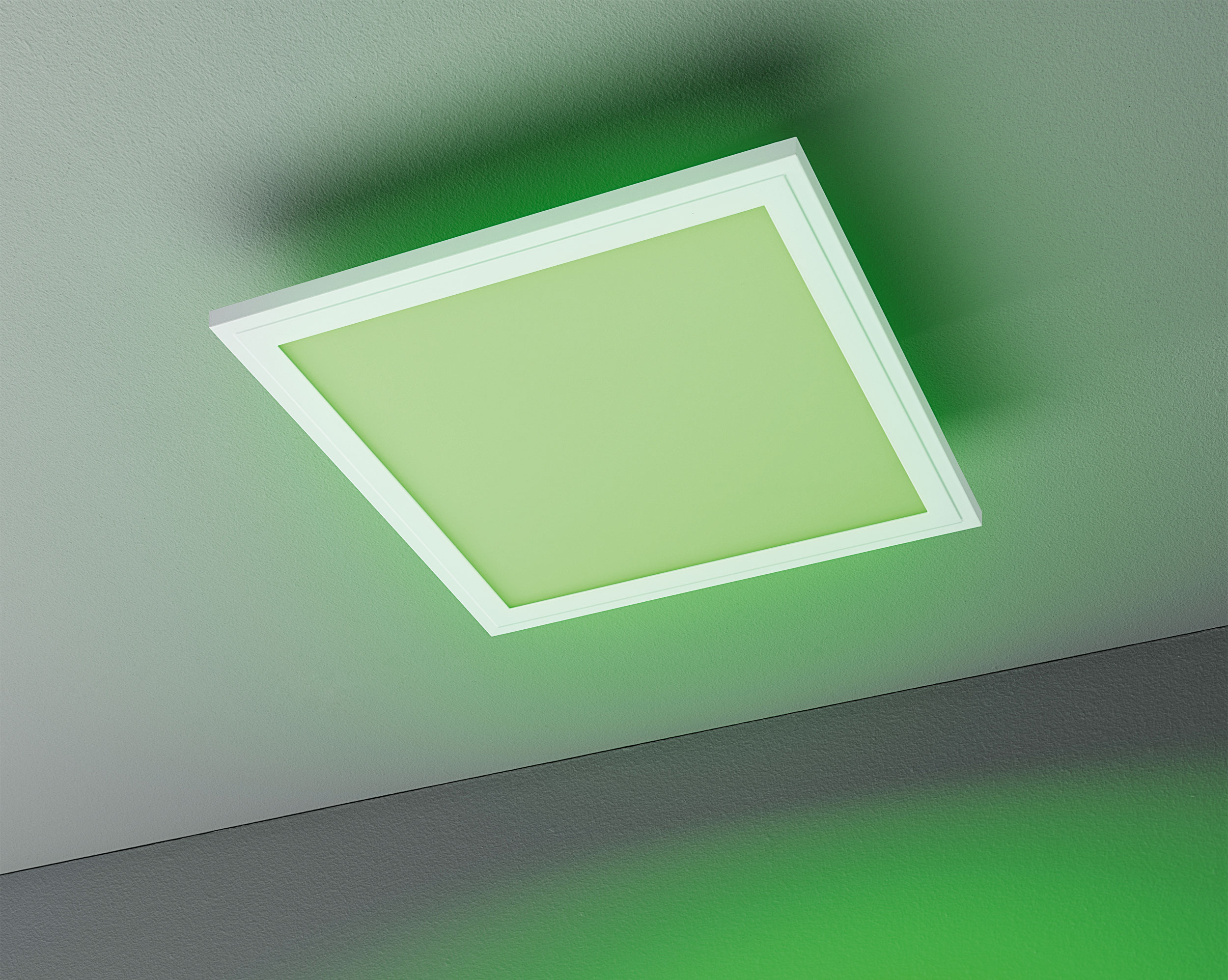 casa NOVALED-Panel 1flg