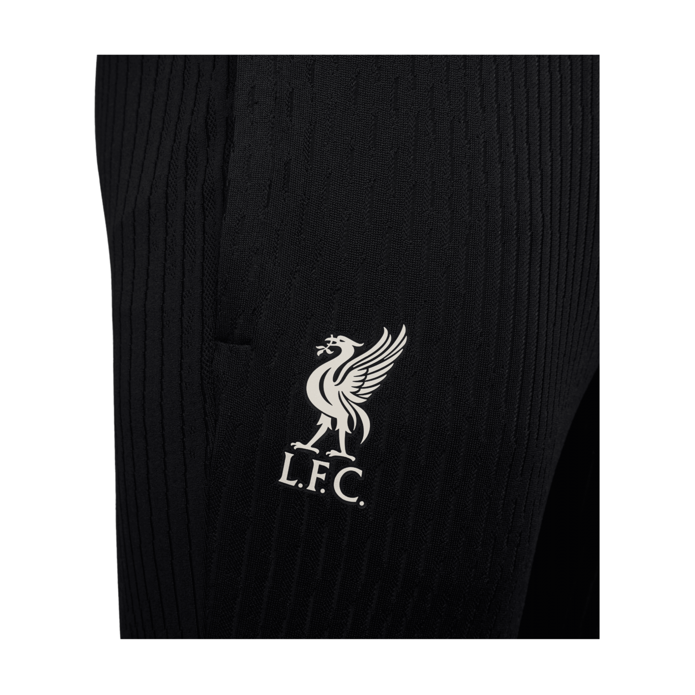 Nike FC Liverpool Auth. Trainingshose Schwarz F010