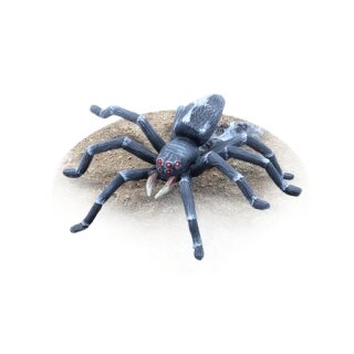 Gigantische Spinne