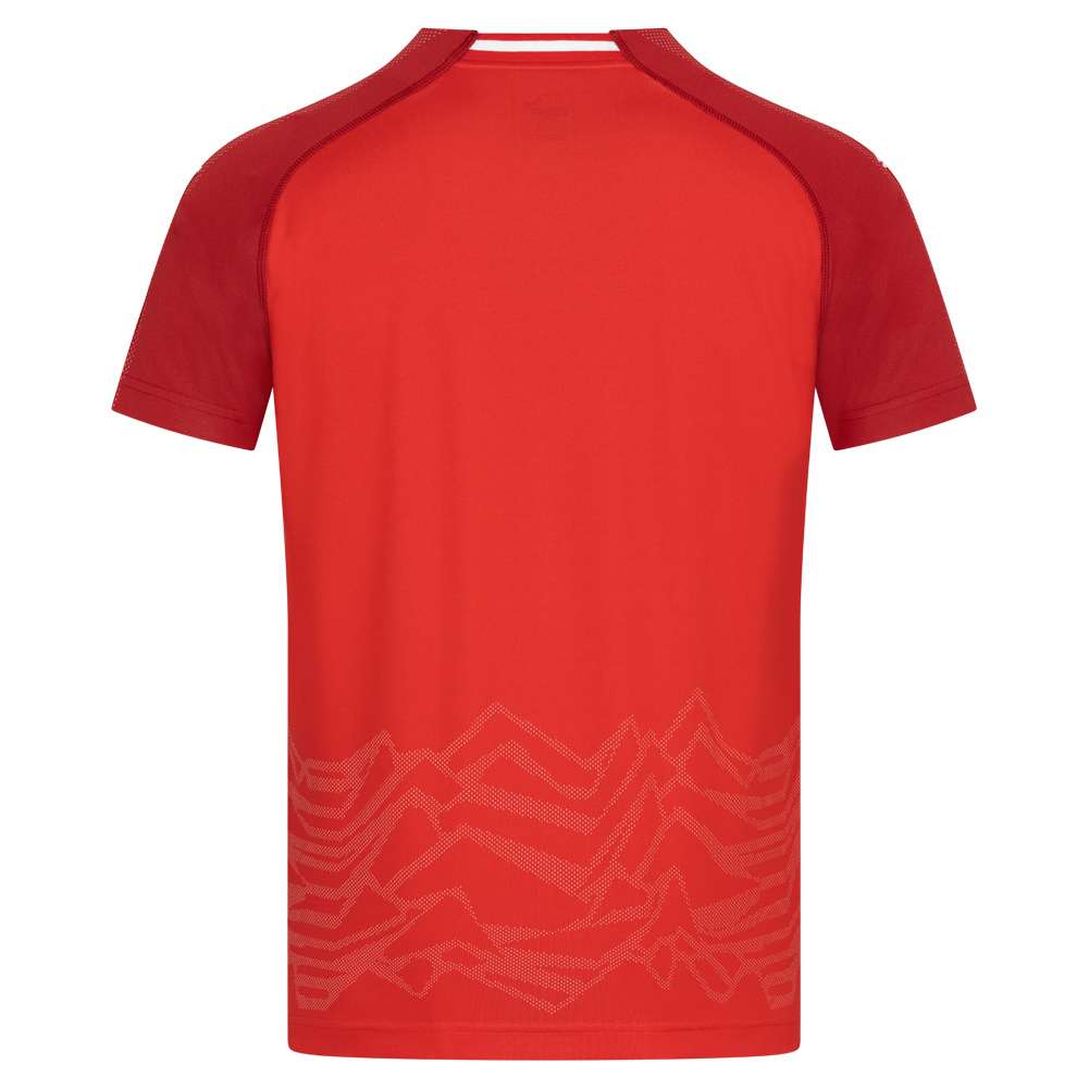 Österreich ÖFB PUMA Kinder Heim Trikot 752515-01
