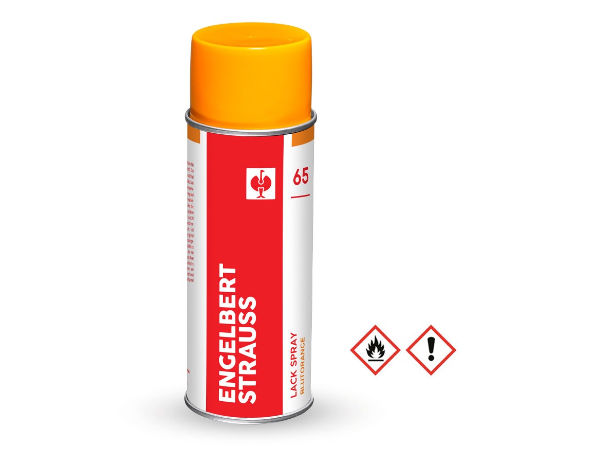 e.s. Lackspray #65