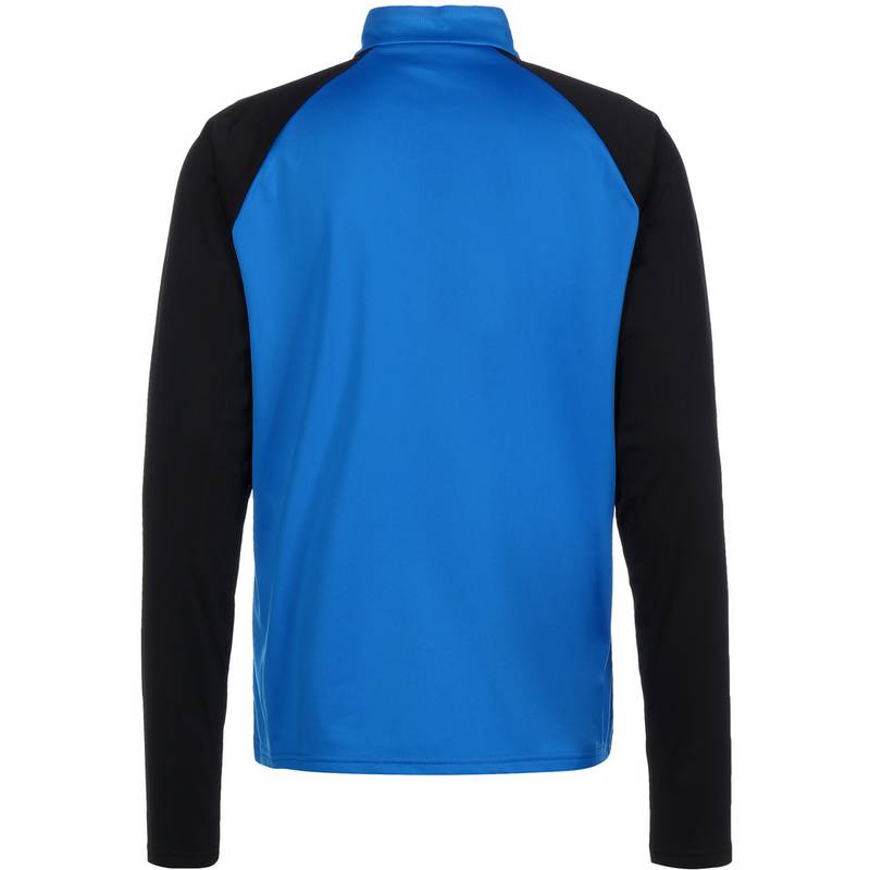PUMA TeamLIGA 1/4 Zip Funktionssweatshirt Herren