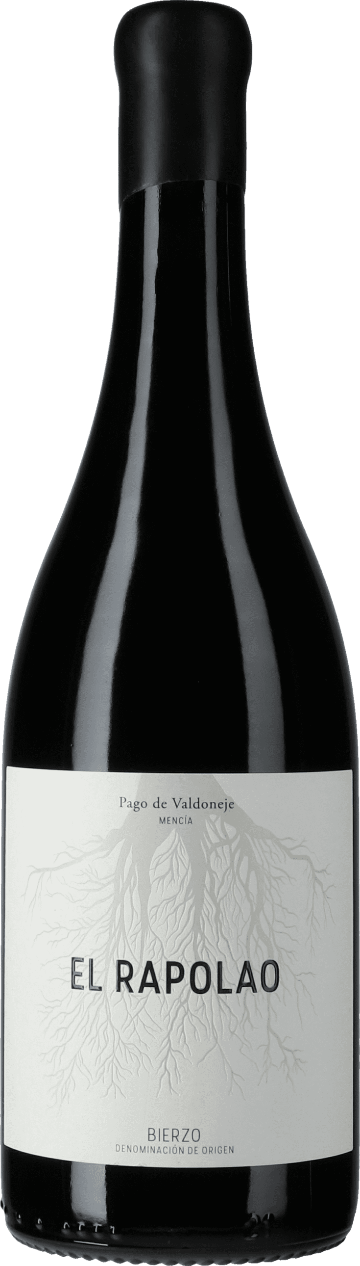 Vinos Valtuille: El Rapolao Mencia 2020