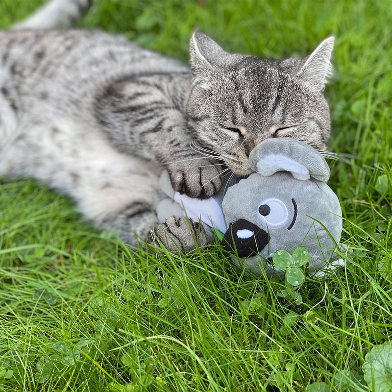 Aumüller Baldrian-Katzenspielkissen Koala Jack
