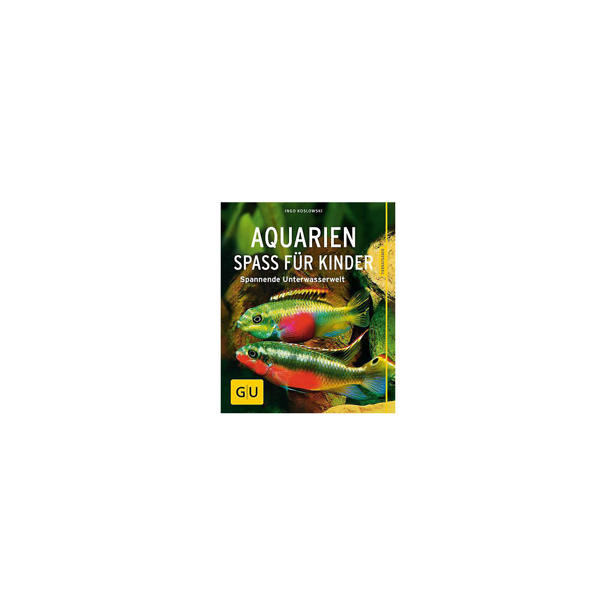 Aquarien - Spaß für Kinder