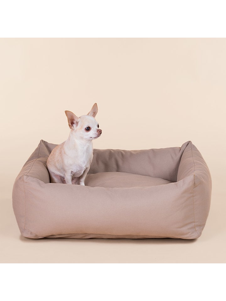 Paikka Hundebett in Hellbraun günstig kaufen 50x60 cm