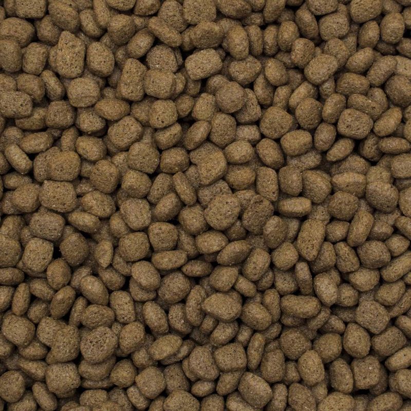 Tropidog Premium Junior Large Truthahn & Reis