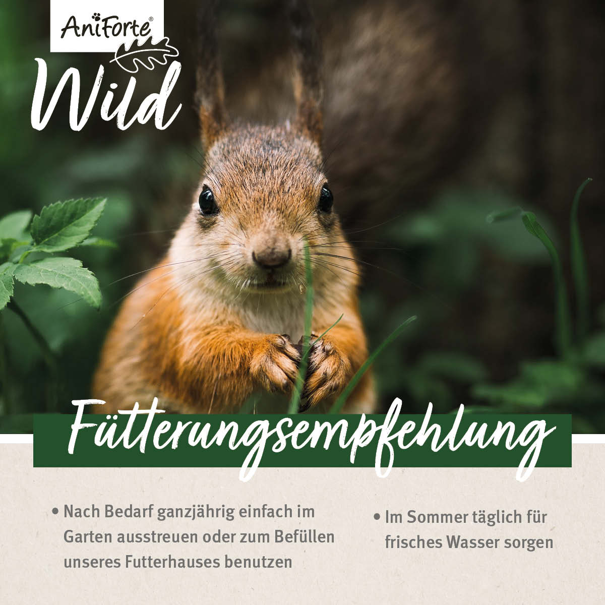 Aniforte Eichhörnchen Aniforte Eichhörnchenfutter 2 kg