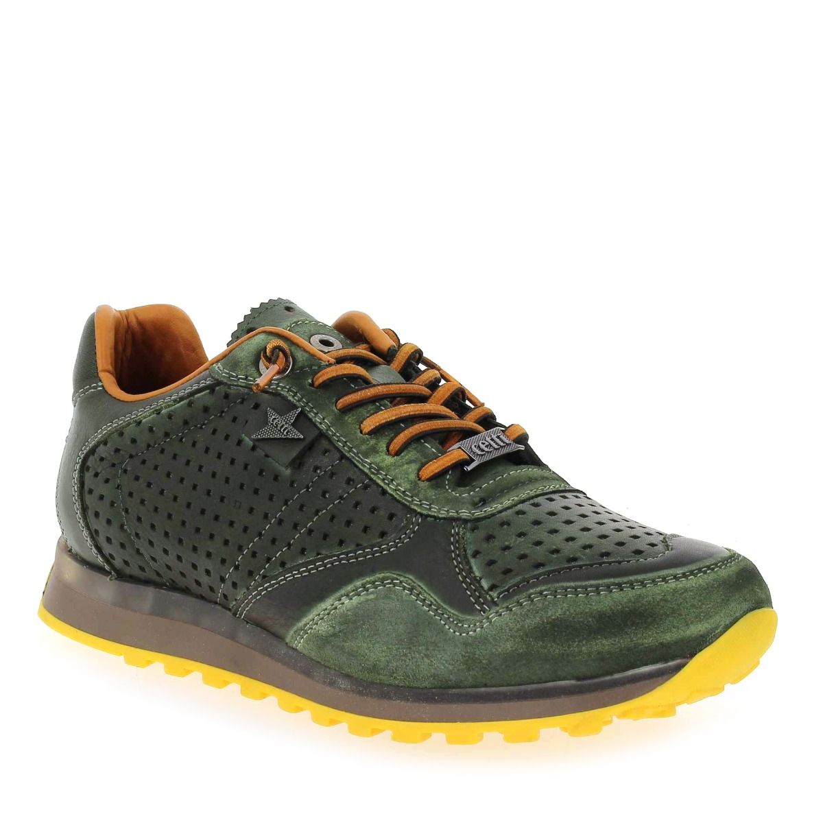Cetti  C848 H22 - vert