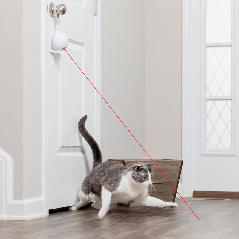 PetSafe Dancing Dot Laser Katzenspielzeug