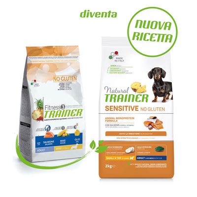 Natural Trainer Sensitive No Gluten Adult Small mit Lachs