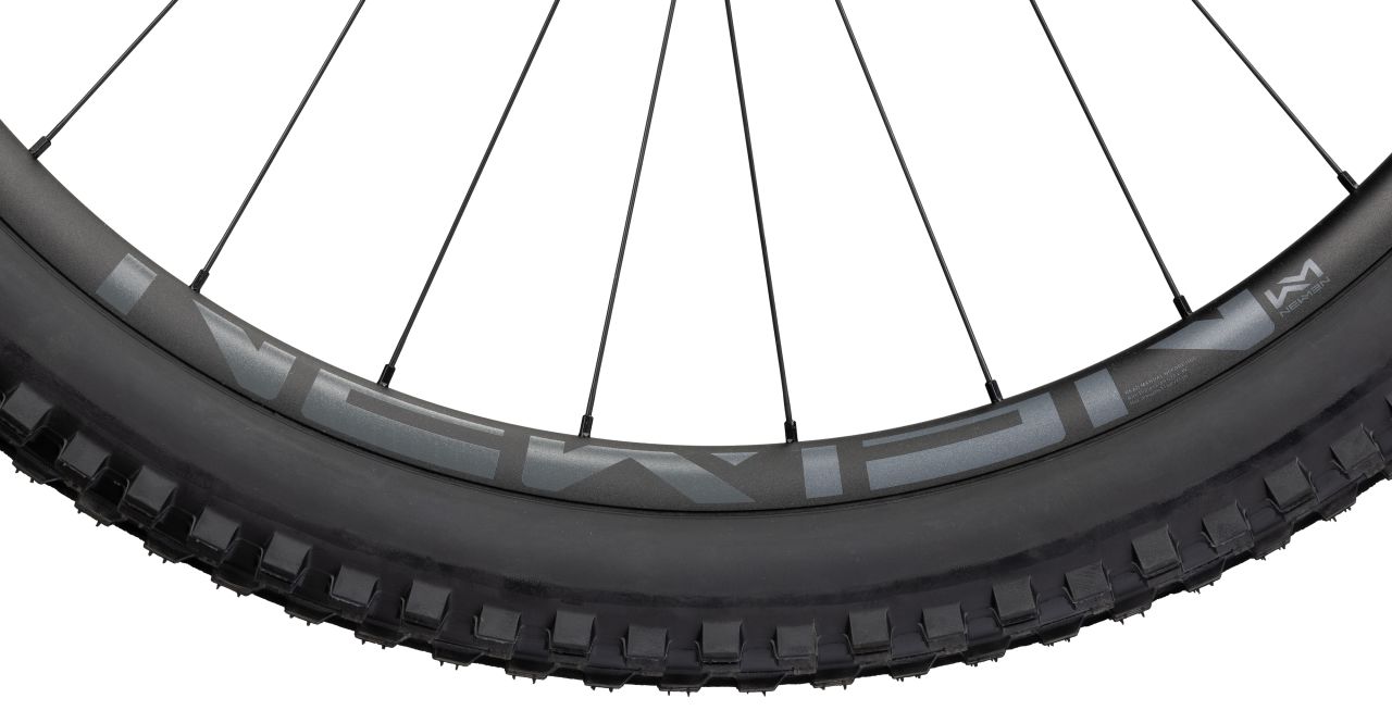 Radon Skeen Trail 10.0 HD kaufen | Bike-Discount
