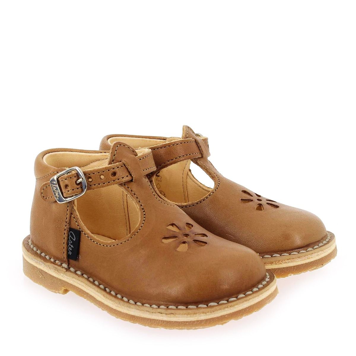Aster  BIMBO 2 - Camel