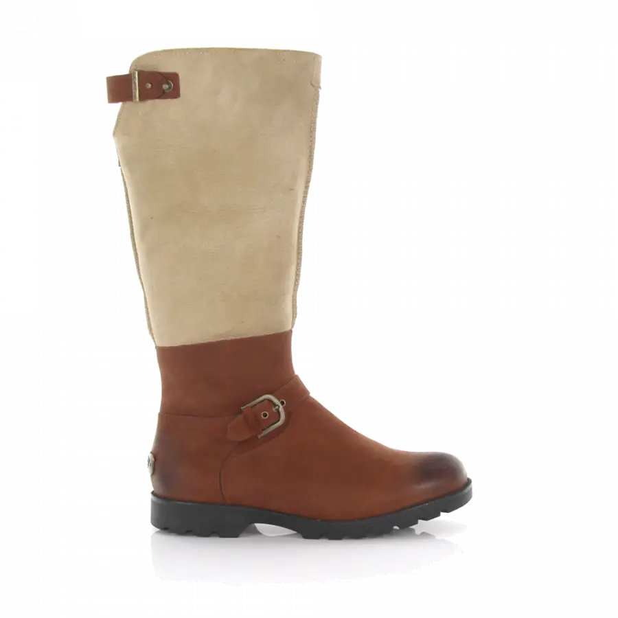 UGG - Stiefel DALEANE Kalbsleder Schafsleder Zierschnalle beige braun - braun