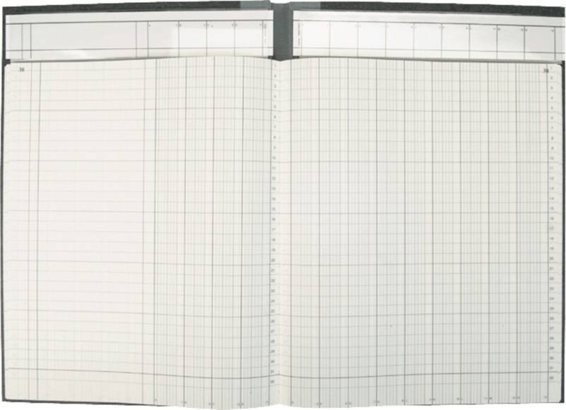 K E Spaltenbücher 8611632-7113P96KL, hellblau, 13 Spalten, DIN A4, 96 Blatt