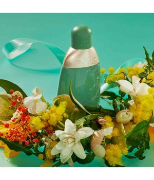 Cacharel Eden Eau de Parfum 50 ml