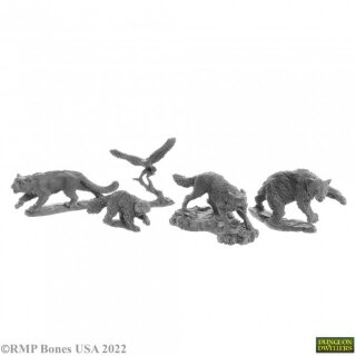 Companion Animals (5)