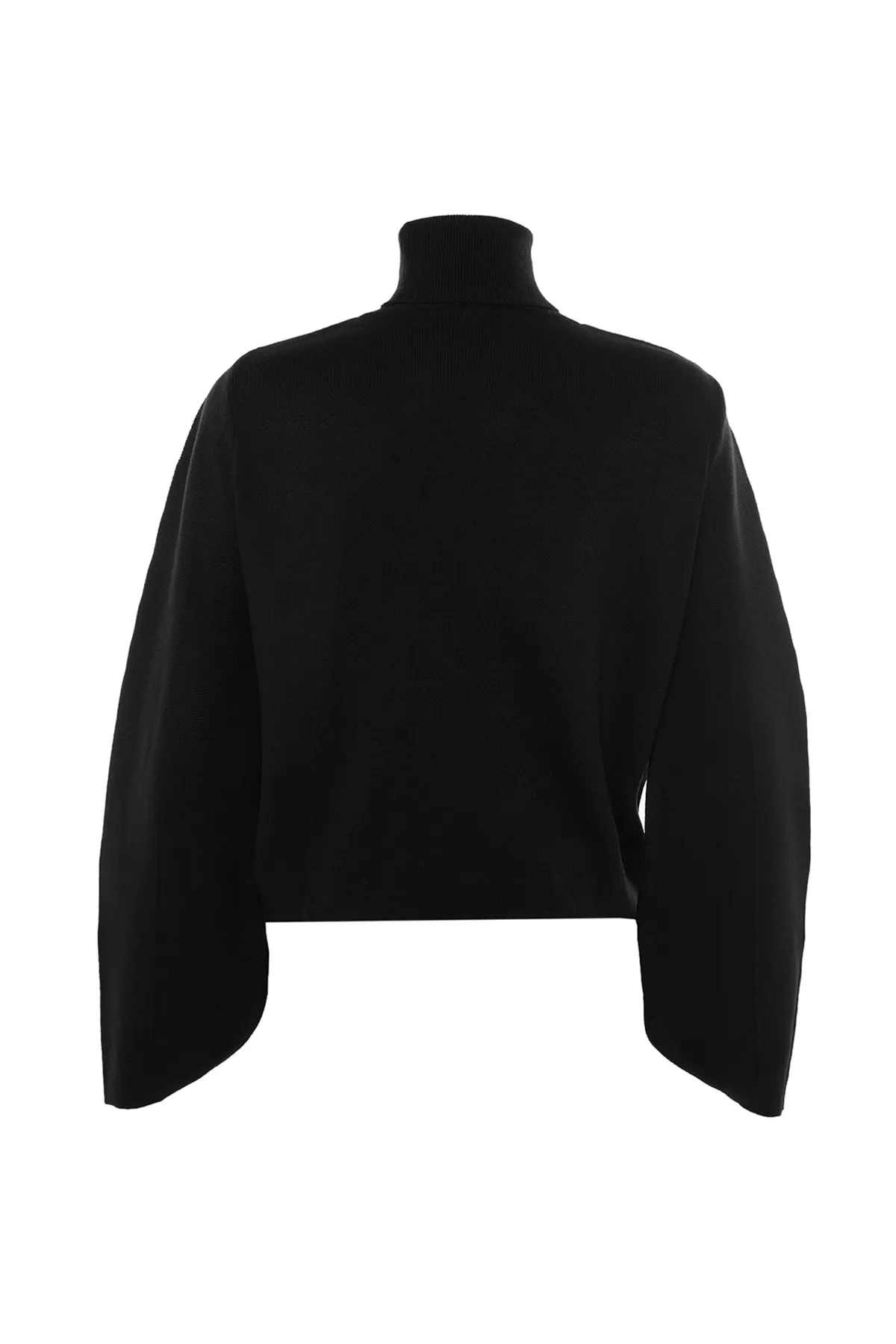 Trendyol Collection  Schwarzer Basic Rollkragenpullover TWOAW21KZ0485