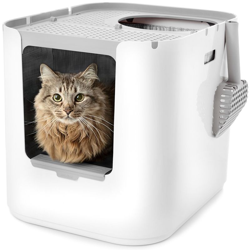 Modkat XL Katzentoilette zu TOP-Preisen
