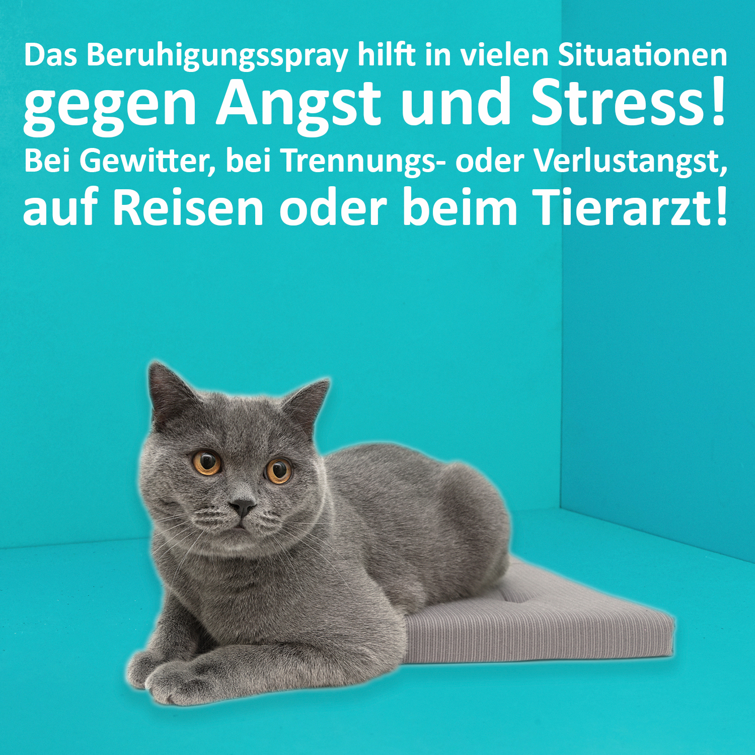 Greenhero Beruhigungsmittel Greenhero Entspannungsspray