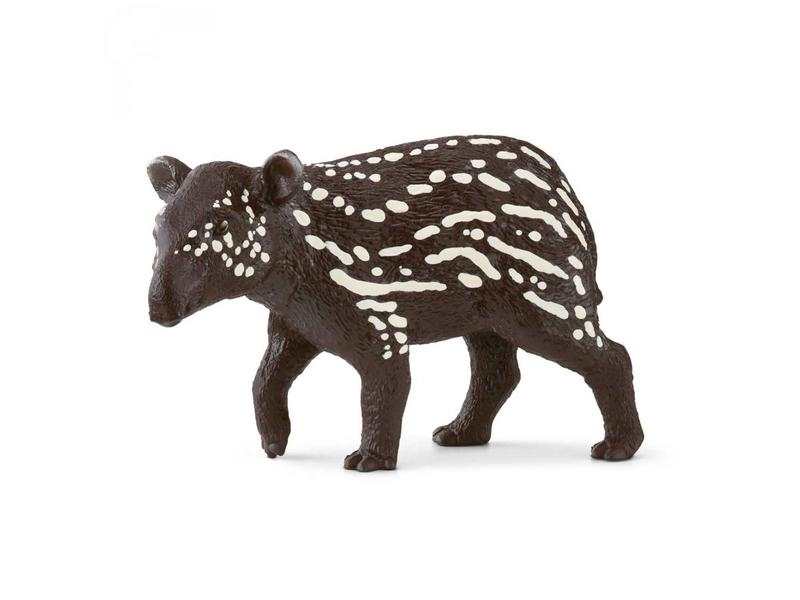 Jeune tapir