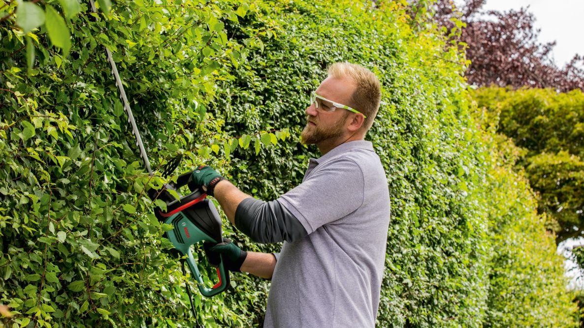 Bosch Green 06008C0903 AdvancedHedgeCut 70 Häcksax