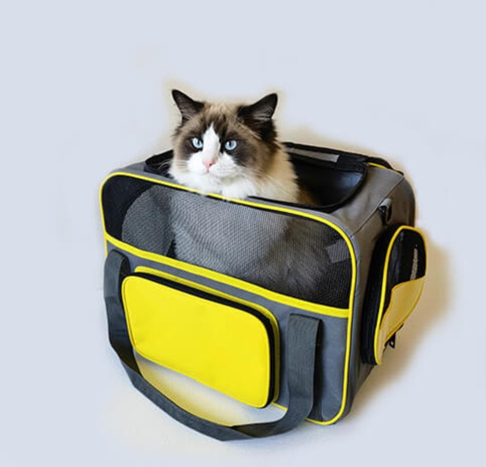 PeTraum Tiertransporttasche Faltbare TRAGETASCHE für Katze, Hunde mit Schultergurt bis 10,00 kg, BxTxH: 44 x 30 x 26 cm