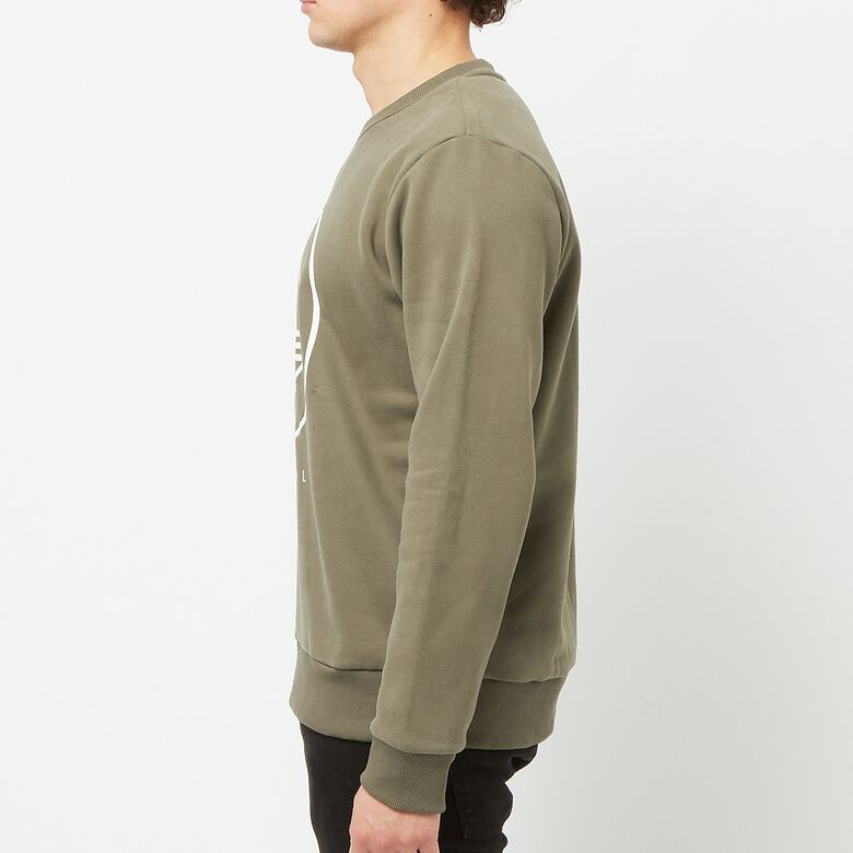 adidas Originals Modtrefoil Crewneck SPZL grün