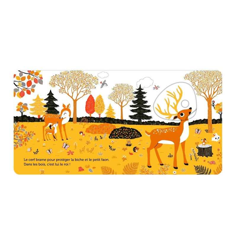 Livre Promenade dans les bois - Nathan Jeunesse