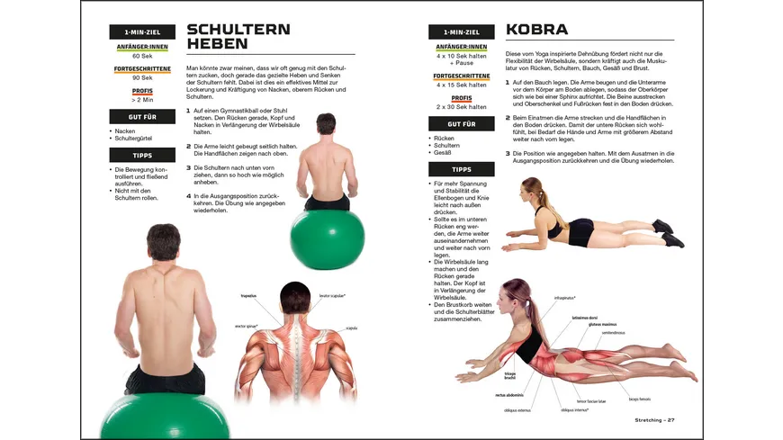Fit und stark in 10 Minuten