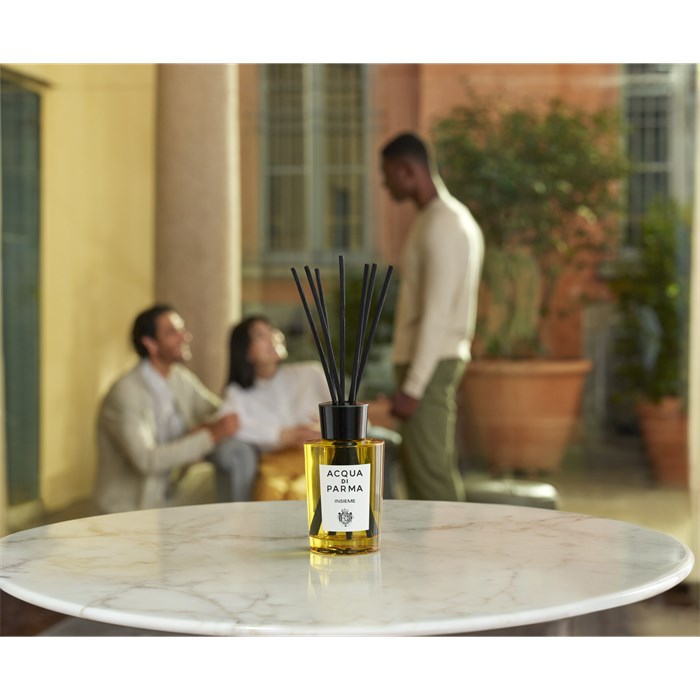 Diffusor Insieme