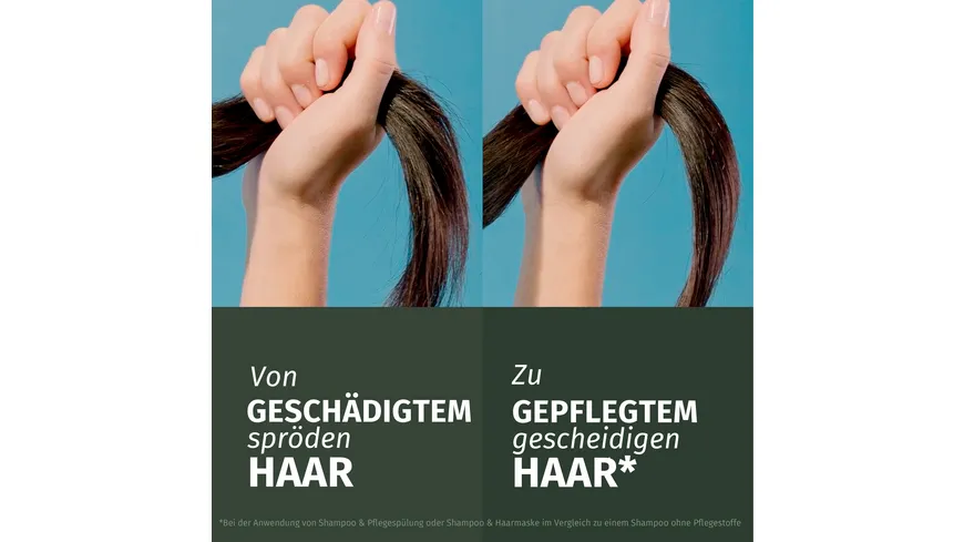 Herbal Essences Repair Arganöl Shampoo 350 ml