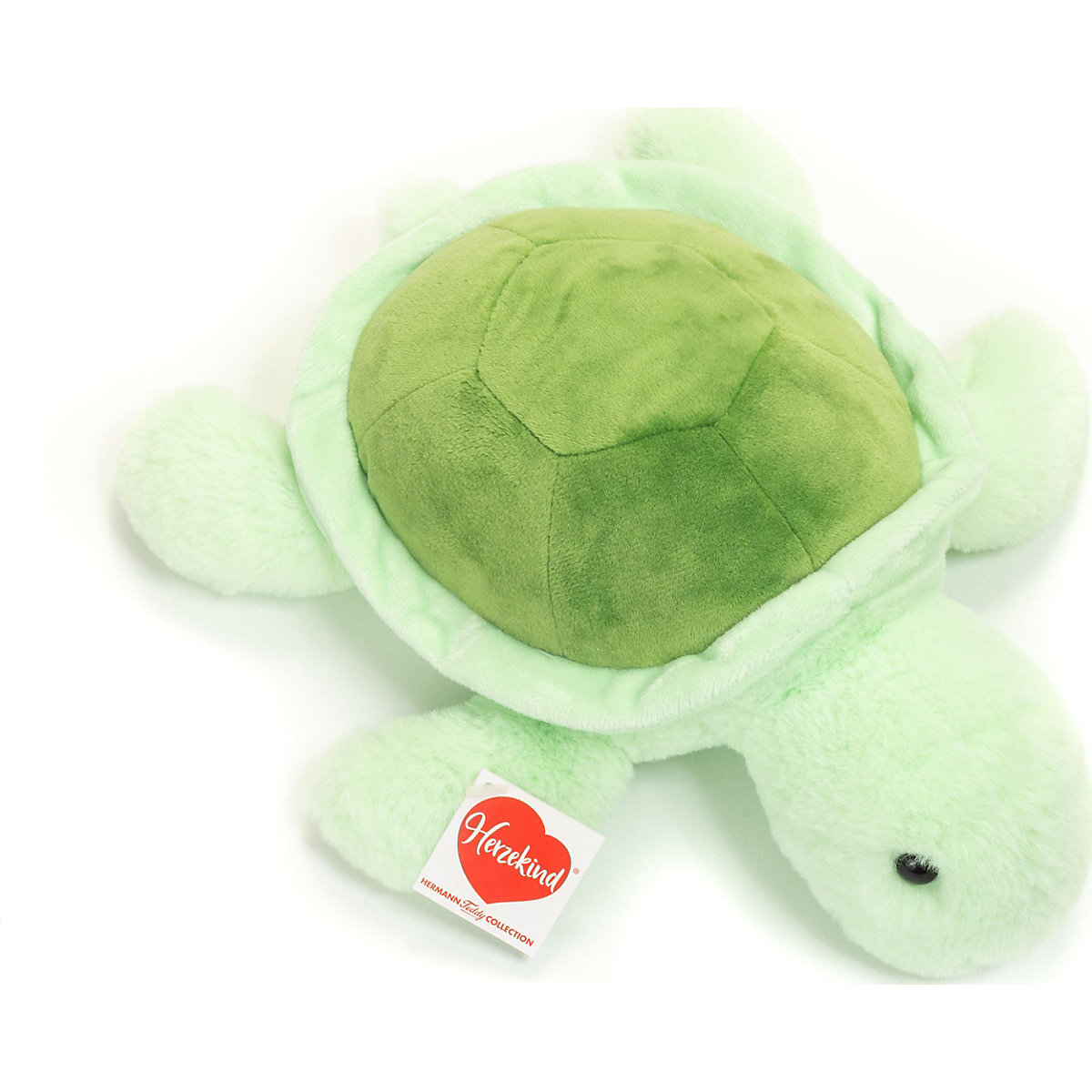 Schildkröte Sandy 30 cm