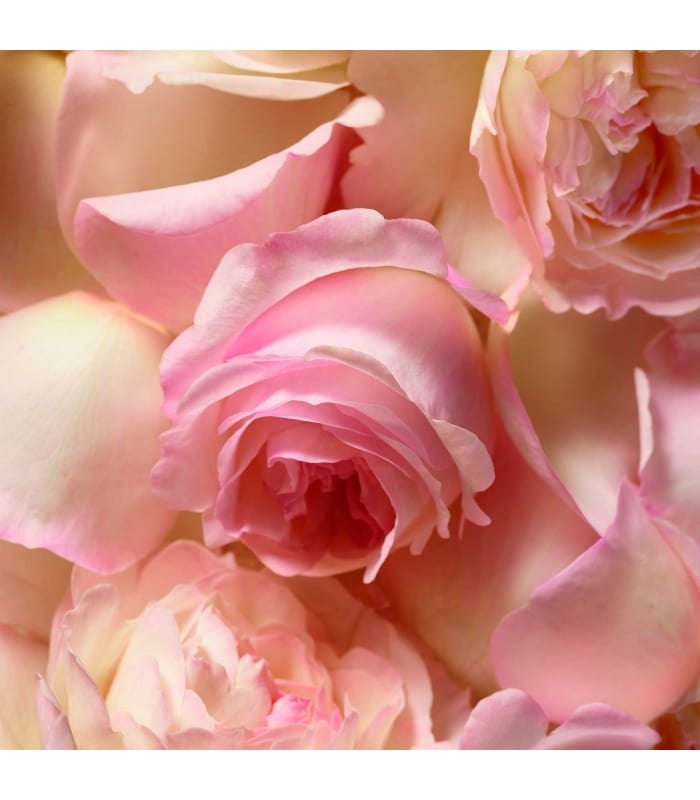 Ralph Lauren-ROMANCE-Eau de Parfum Vaporisateur