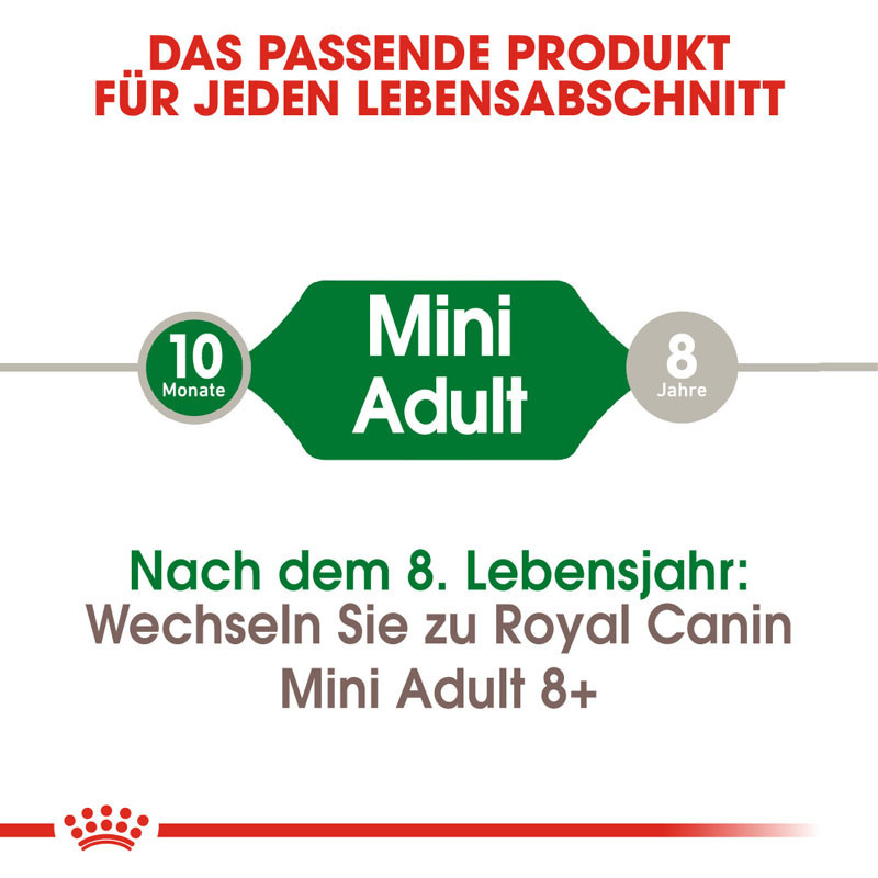 ROYAL CANIN Hundetrockenfutter ROYAL CANIN Mini Adult 8+1kg