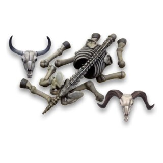 Animal Skulls & Skeletons 1/48