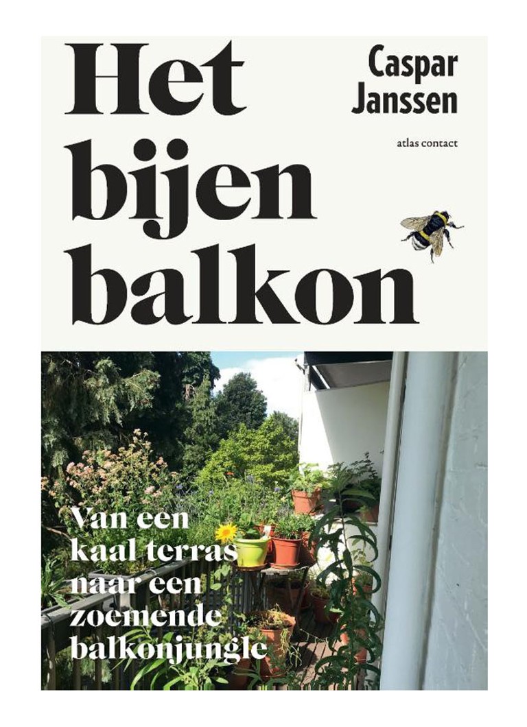 BALCONUL ALBINELOR