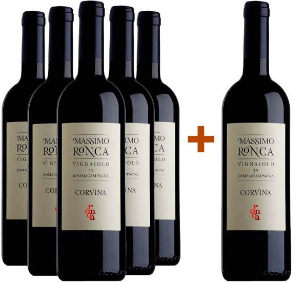 5+1 Paket Corvina Veronese IGP trocken Bio - Ronca