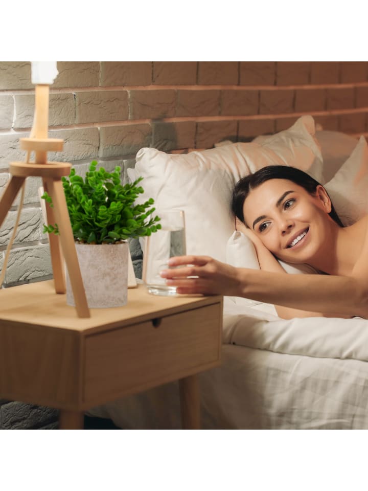 relaxdays 3 x Kunstpflanze in Grün/ Lila/ Grau günstig kaufen onesize