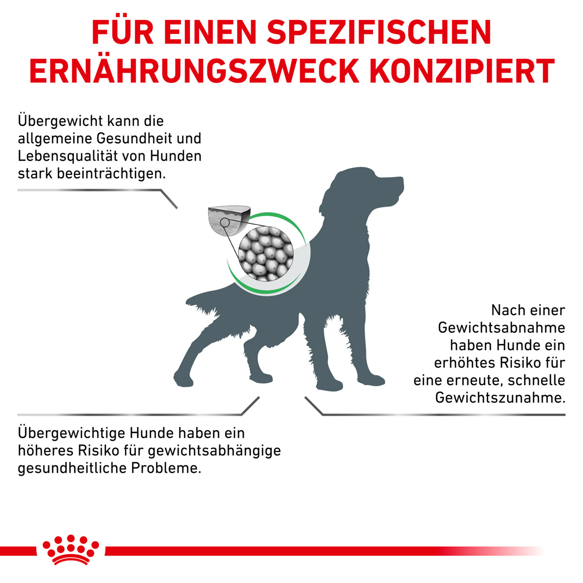 ROYAL CANIN Veterinary SATIETY WEIGHT MANAGEMENT Trockenfutter für Hunde