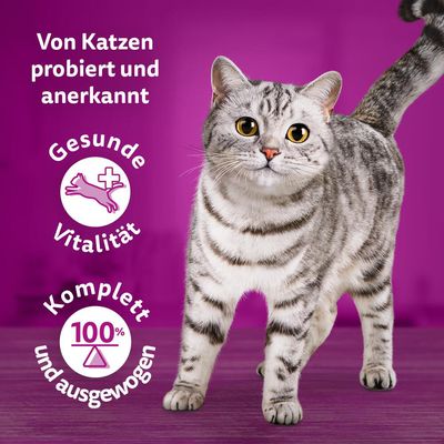Sparpaket Multipack WHISKAS TASTY MIX Portionsbeutel 144 x 85 g