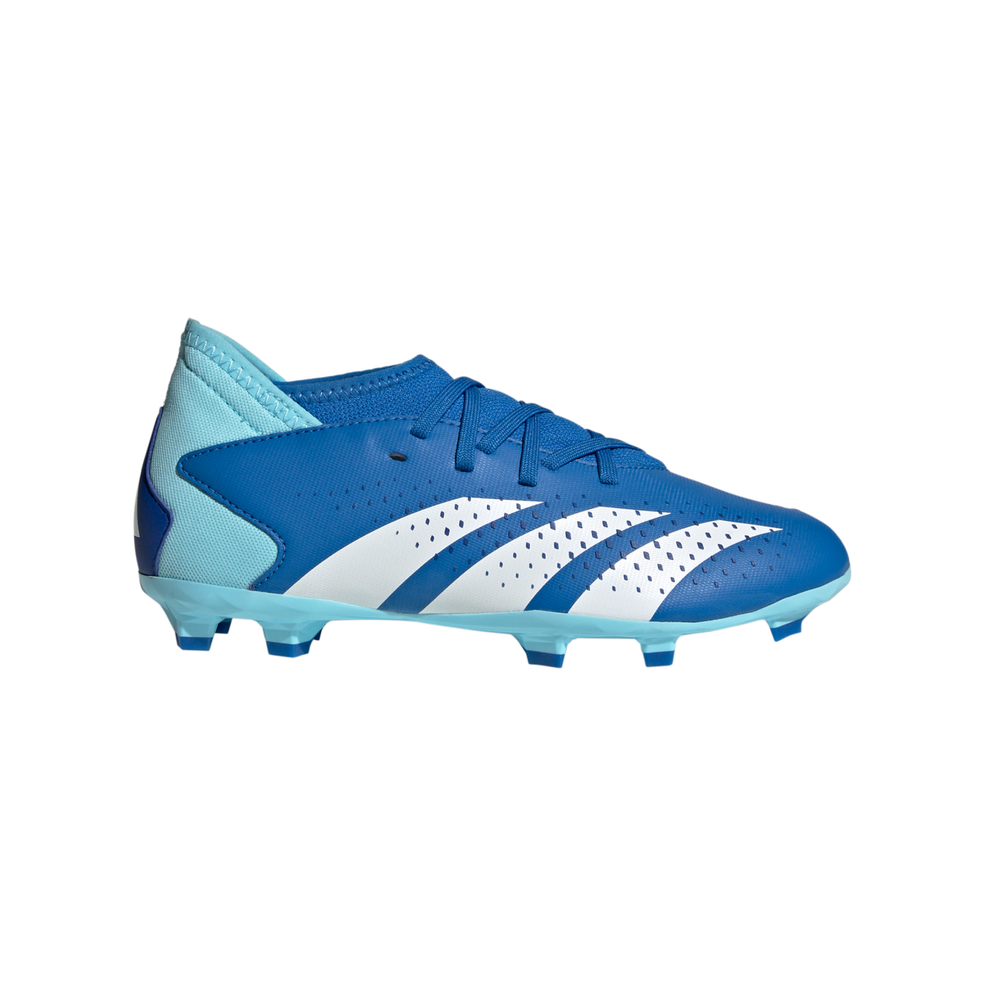 adidas Predator Accuracy.3 FG Kids Blau Weiss