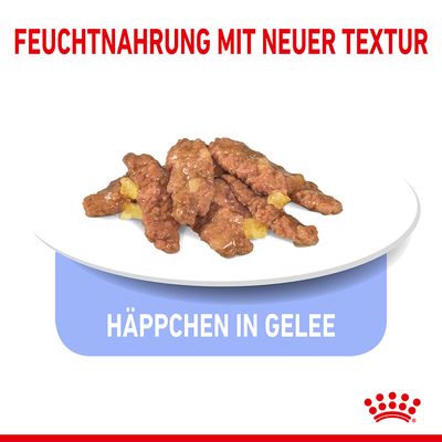Royal Canin Indoor Sterilised in Gelee