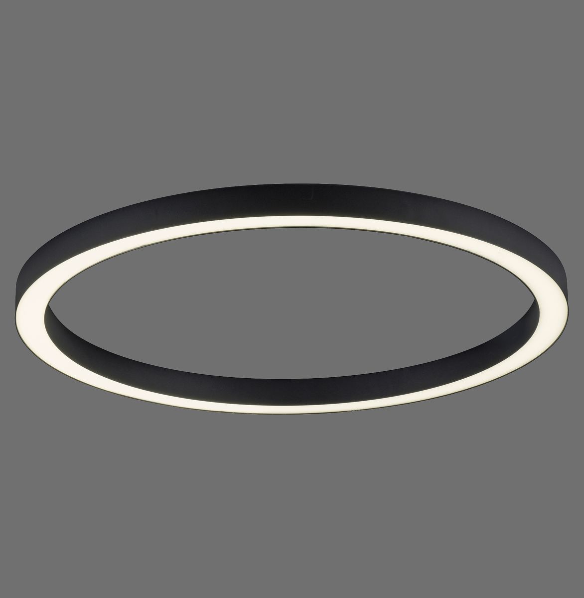 Paul Neuhaus LED Deckenleuchte Pure Lines schwarz Ø 70 cm
